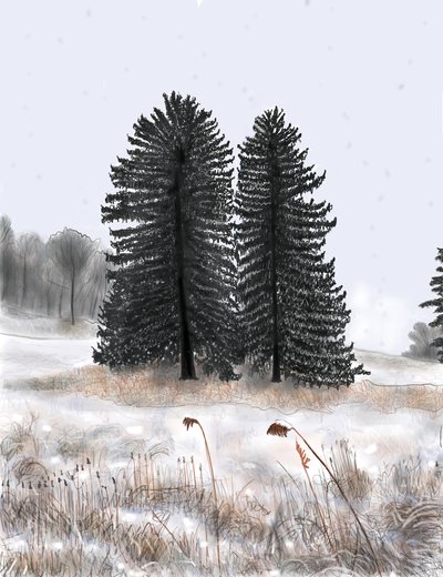 Wedded Pines autorstwa Evan Sklar