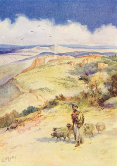  autorstwa Evelyn Stuart Hardy