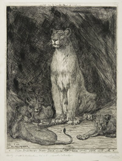 Siedząca lwica i trzy młode, 1888 autorstwa Evert van Muyden