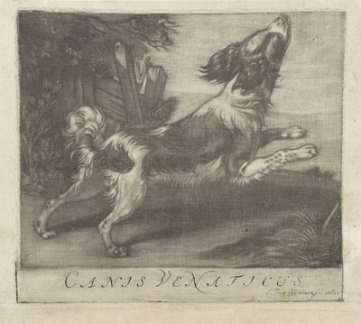 skaczący pies Canis Venaticus (tytuł na obiekcie) autorstwa Evert van Sweinen