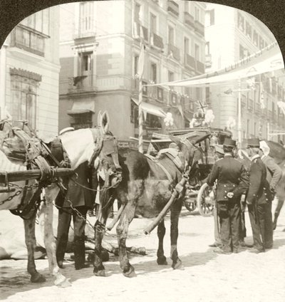 Trener stanowy, Calle Mayor, Madryt. autorstwa Excelsior Stereoscopic Tours