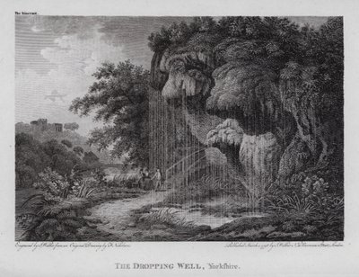 The Dropping Well, Yorkshire (grawerowanie) autorstwa F. (after) Nicholson