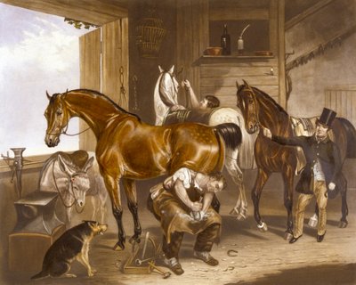 Weterynarz, grawerowane przez J.R. Mackrell (kolor lito) autorstwa F. C. (after) Turner