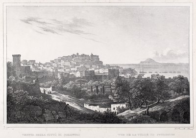 Widok na miasto Pozzuoli autorstwa F. Homer