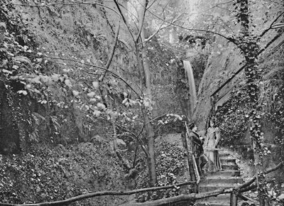 Chińczyk Shanklina, ok. 1896 r. autorstwa F. N. Broderick