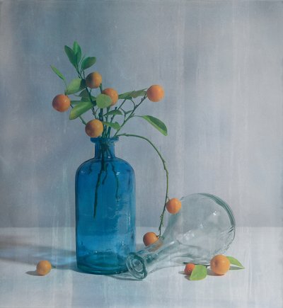 Cytrusy i niebieskie butelki autorstwa Fangping Zhou