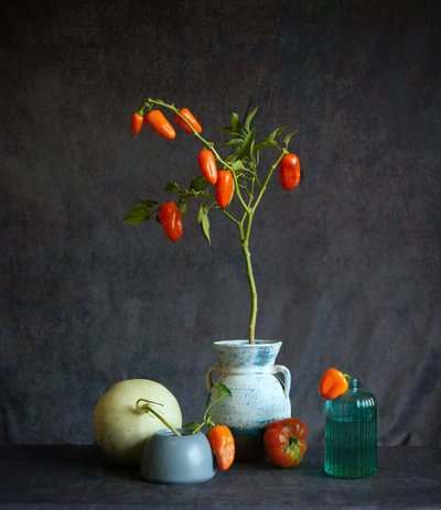 Rustykalna martwa natura z pomarańczowymi pomidorami autorstwa Fangping Zhou