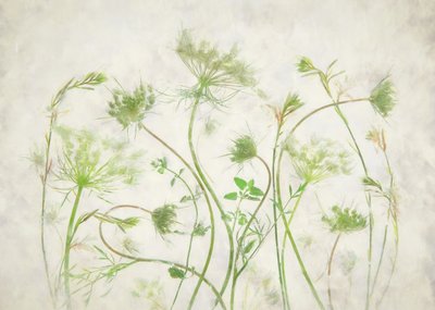 Delikatne zielone motywy botaniczne autorstwa Fangping Zhou
