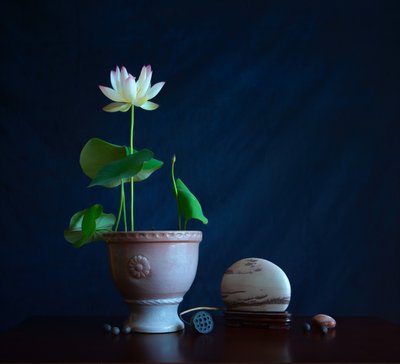Zen martwa natura z lotosem autorstwa Fangping Zhou