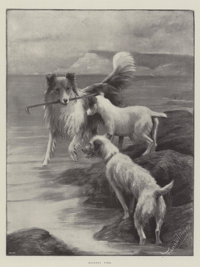 Czas wakacji autorstwa Fannie Moody