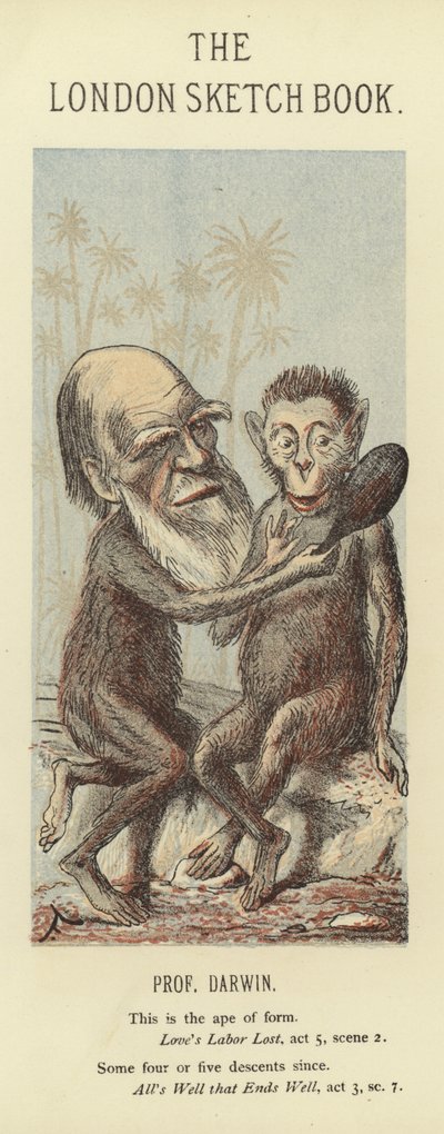 Karykatura Karola Darwina autorstwa Faustin