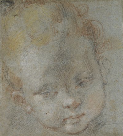 Recto: Głowa Dziecka (czarne, czerwone, białe, różowe i żółte kredki na niebiesko-szarym papierze) autorstwa Federico Barocci