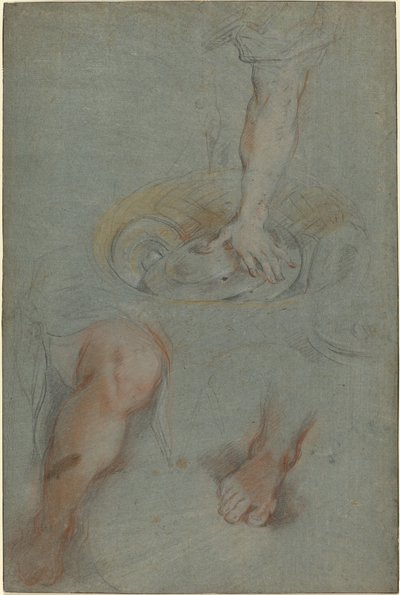 Studia dla sługi w „Ostatniej wieczerzy” autorstwa Federico Barocci
