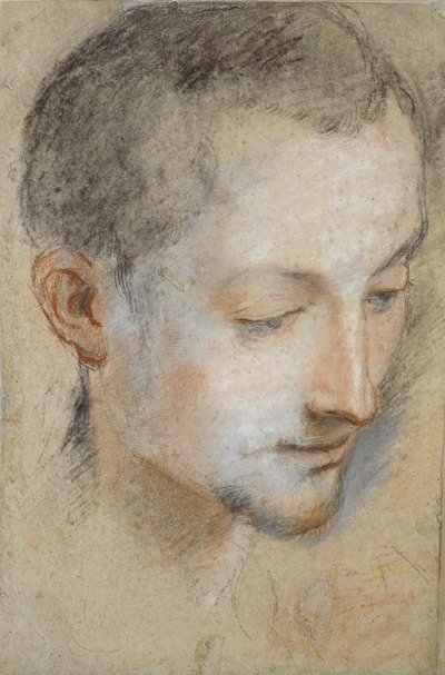 Studium głowy młodego mężczyzny, koniec XVI wieku autorstwa Federico Barocci