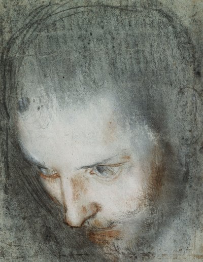Głowo św. Franciszka patrząc w górę w lewo, autorstwa Federico Fiori Barocci or Baroccio