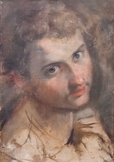 Studium na głowę św. Judasza autorstwa Federico Fiori Barocci or Baroccio