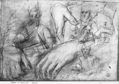 Studium rąk do portretu Ippolito della Rovere (czarne, czerwone i białe kredki na papierze) autorstwa Federico Fiori Barocci or Baroccio