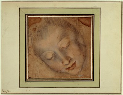 Głowa kobiety o mocnych oczach Rysunek krwią i węglem autorstwa Federico Barocciego zwany Le Baroche (1526-1613). Paryż, Luwr autorstwa Federico Fiori Barocci or Baroccio