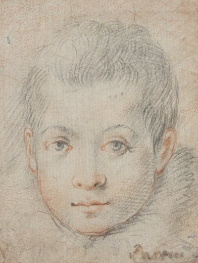 Głowa chłopca autorstwa Federico Zuccaro