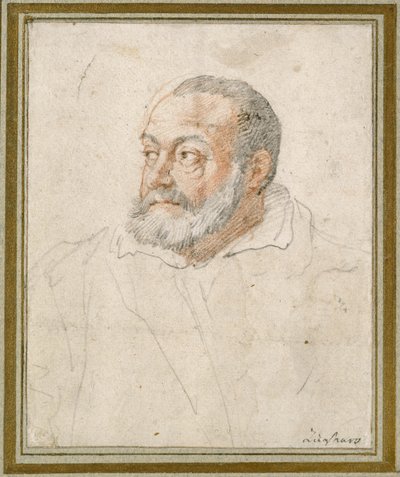 Portret mężczyzny (czerwona kreda i czarny ołów na papierze) autorstwa Federico Zuccaro