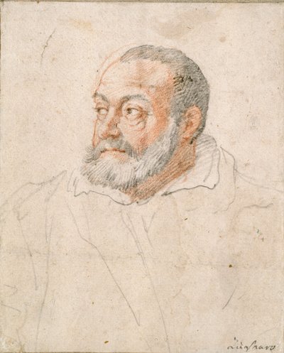 Portret mężczyzny, Barozzi da Vignola, XVI w. autorstwa Federico Zuccaro