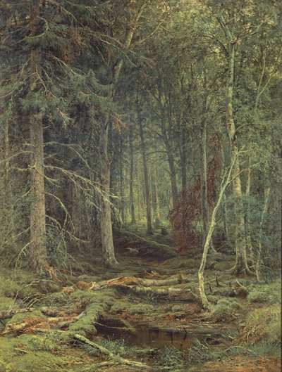 Bagno w lesie, jesień, 1872 r. autorstwa Fedor Aleksandrovich Vasiliev