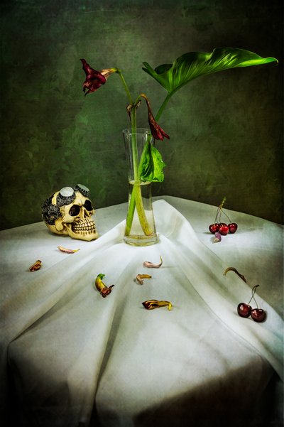 Gotycka czaszka Vanitas autorstwa Felice Angelino