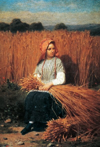 Kłosarka autorstwa Felice Barucco