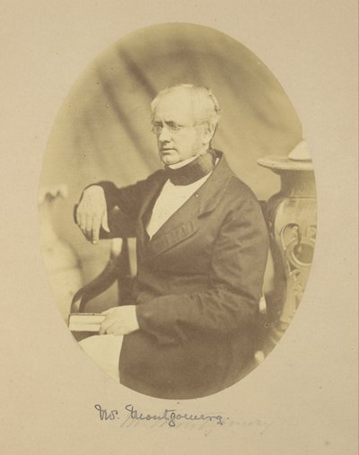 Portret Sir Roberta Montgomery