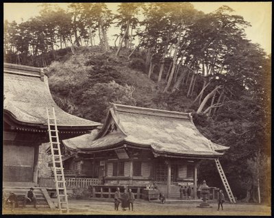 Świątynia Hachimanu, Kamakura autorstwa Felice Beato