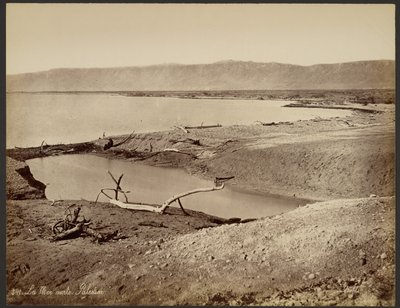 Morze Martwe, Palestyna autorstwa Félix Bonfils