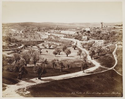 Valle De ... Palestyna #313 autorstwa Félix Bonfils
