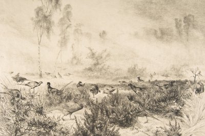 Poranne mgły, 1882. autorstwa Felix Bracquemond