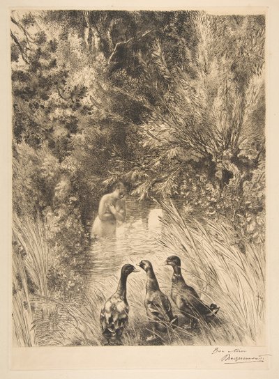 Zaskoczone kaczki, 1882. autorstwa Felix Bracquemond