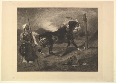 Koń arabski na palu, wg Delacroix, 1857. autorstwa Felix Bracquemond