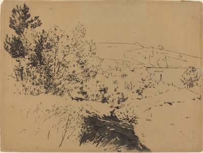 Krajobraz przybrzeżny autorstwa Felix Bracquemond