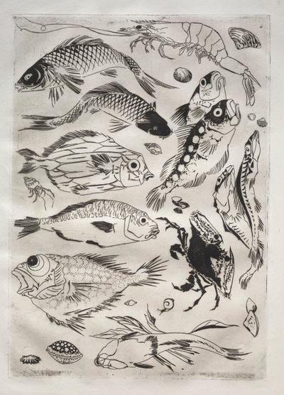 Serwis obiadowy (usługa Rousseau): Ryba (nr 24) autorstwa Felix Bracquemond