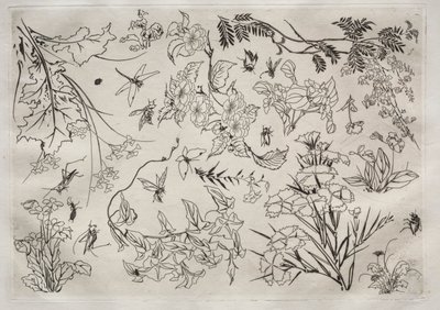Serwis obiadowy (usługa Rousseau): Kwiaty (nr 22) autorstwa Felix Bracquemond