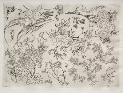 Serwis obiadowy (usługa Rousseau): Kwiaty (nr 23) autorstwa Felix Bracquemond