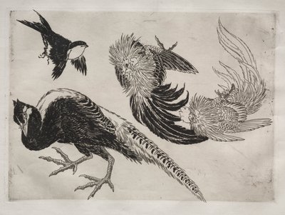 Serwis obiadowy (usługa Rousseau): Bażanty i ptaszek (nr 18) autorstwa Felix Bracquemond