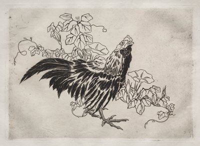 Serwis obiadowy (usługa Rousseau): Kogut i poranne chwały (nr 25) autorstwa Felix Bracquemond