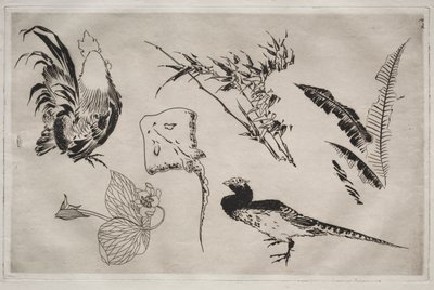 Serwis obiadowy (usługa Rousseau): Koguty, łyżwy, rośliny itp. (nr 9) autorstwa Felix Bracquemond