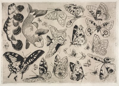 Serwis obiadowy Usługa Rousseau: Motyle i Ryby nr. 16, 1866. autorstwa Felix Bracquemond