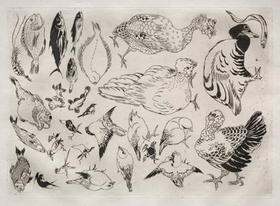 Serwis obiadowy Serwis Rousseau: Kaczki, ryby itp. nr. 12, 1866. autorstwa Felix Bracquemond