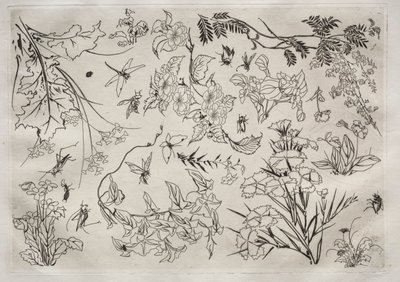 Serwis obiadowy Usługa Rousseau: Kwiaty nr. 22, 1866. autorstwa Felix Bracquemond