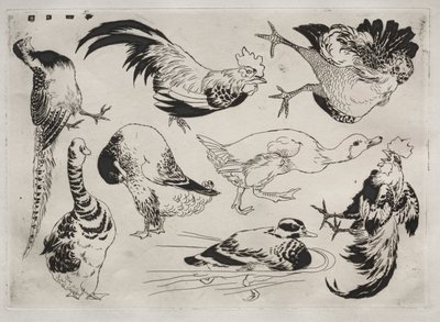 Serwis obiadowy Serwis Rousseau: Koguty, kaczki itp. nr. 13, 1866. autorstwa Felix Bracquemond