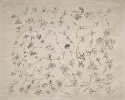 Wzory kwiatowe na talerze i bordiury nr. 14, 1872. autorstwa Felix Bracquemond