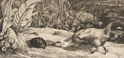 Nieznane, 1862. autorstwa Felix Bracquemond