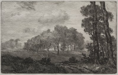 Krajobraz, po francusku autorstwa Felix Bracquemond