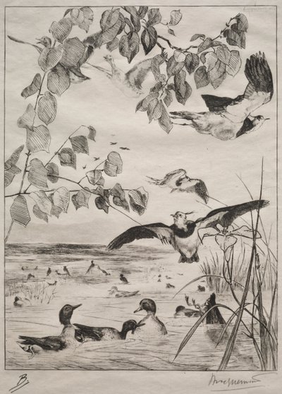 Czajki i Cyraneczki, 1862. autorstwa Felix Bracquemond